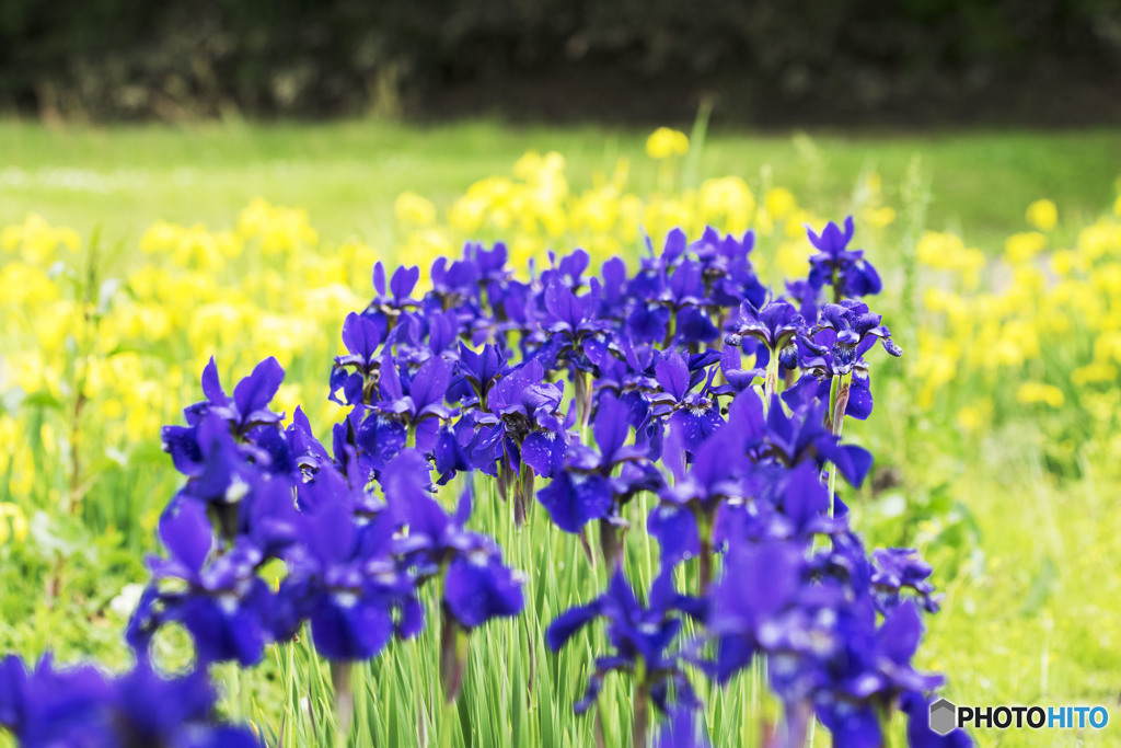 希望に満ち溢れた時が懐かしい。