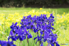 希望に満ち溢れた時が懐かしい。