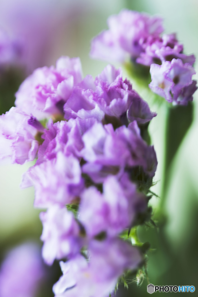 綺麗に撮ってねと言われるけれど…