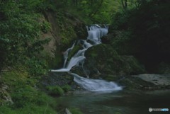 涼しさが漂う時