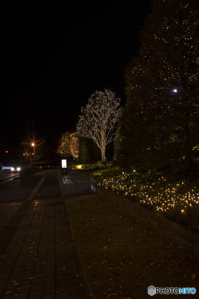 Beyond the distant night sky