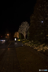 Beyond the distant night sky