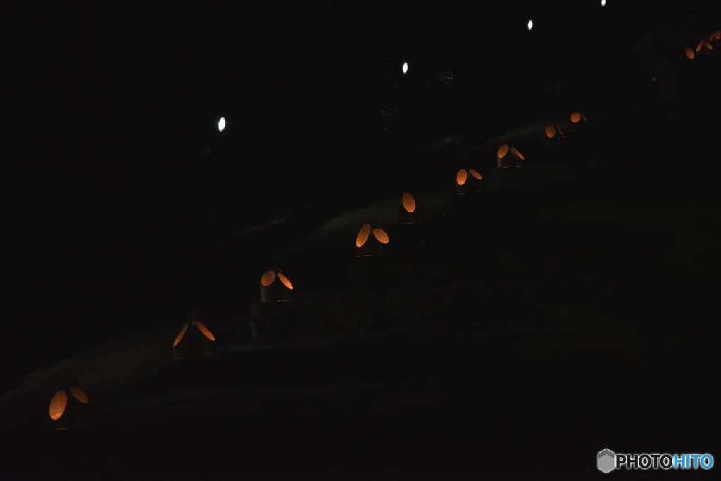 七夕灯道