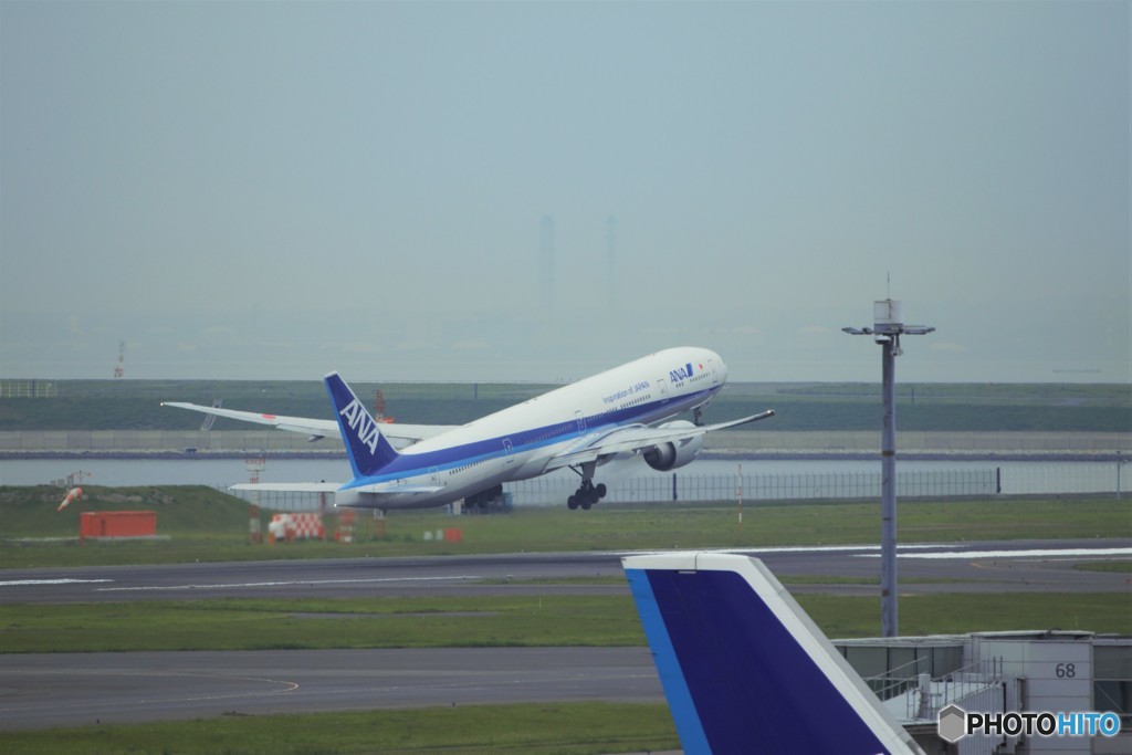 飛べそうですｗ