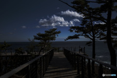 ここが碁石海岸とは夢にも思わなかった。