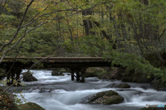 橋の向こうに君が居ると信じて