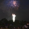 夜空に咲く紫陽花