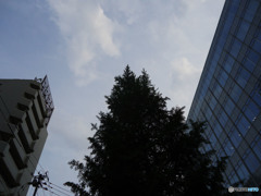 涙ぐむその顔も胸に響かない