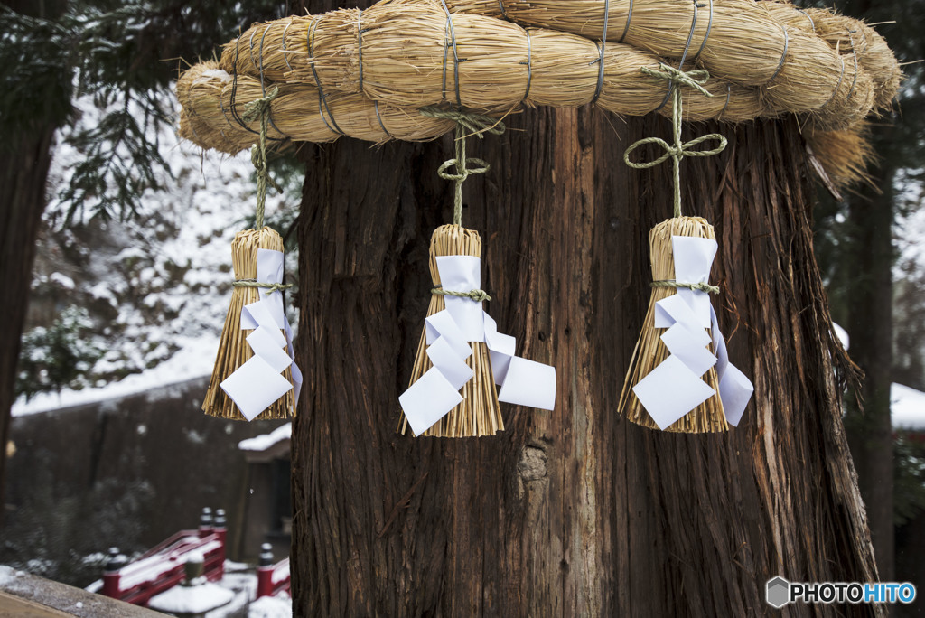 Shrine maidens dance