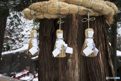 Shrine maidens dance