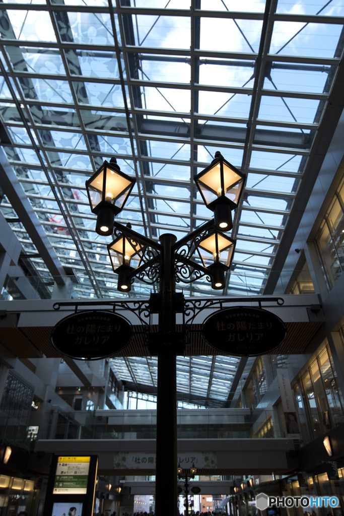  9と4分の3番線を探して