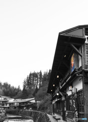 逢えたら良いね。