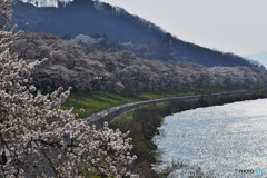 歩いたら途中で大変な事に＾＾；