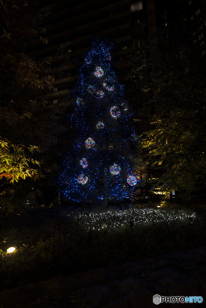 Christmas is coming up there