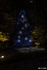 Christmas is coming up there