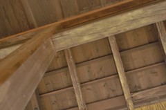 駆け抜ける雨の中