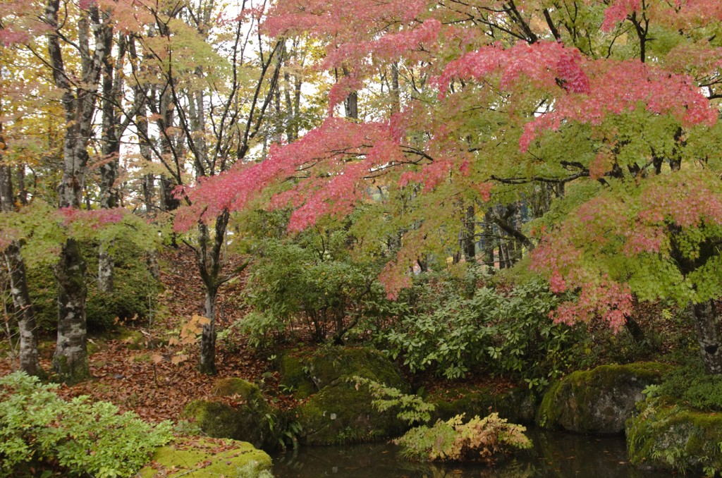 運命は回り始める