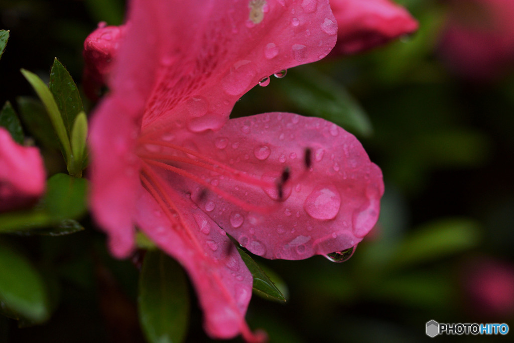 I want to seriously tackle it