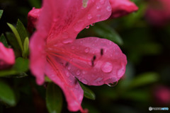 I want to seriously tackle it