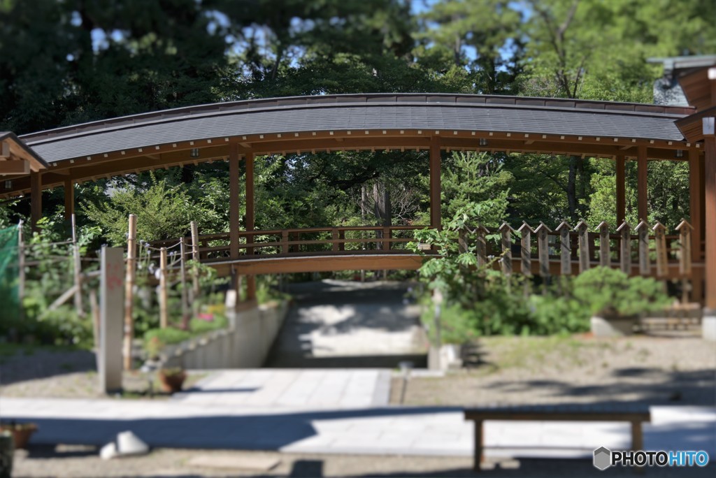 君と橋を渡りたい。