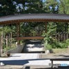君と橋を渡りたい。