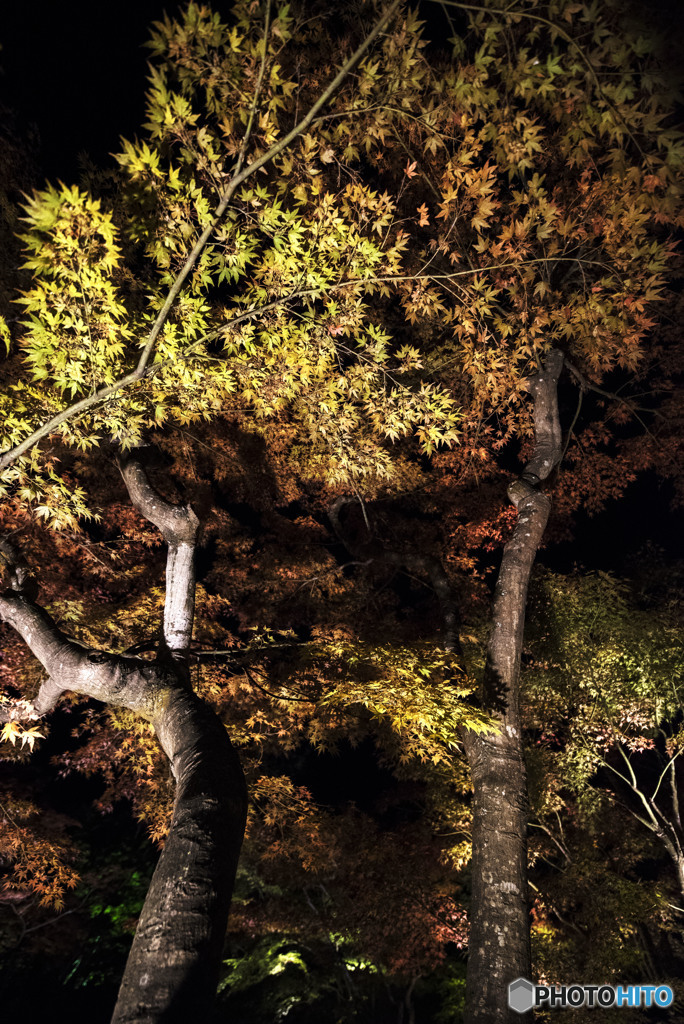 Pleasure to feel beautiful