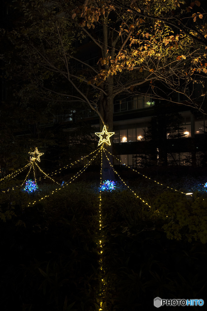 このライン好きです。