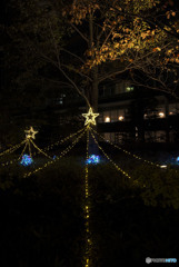 このライン好きです。