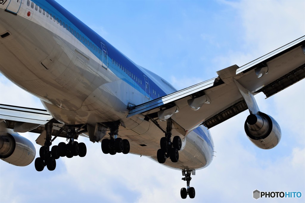 お腹見られちゃったｗ