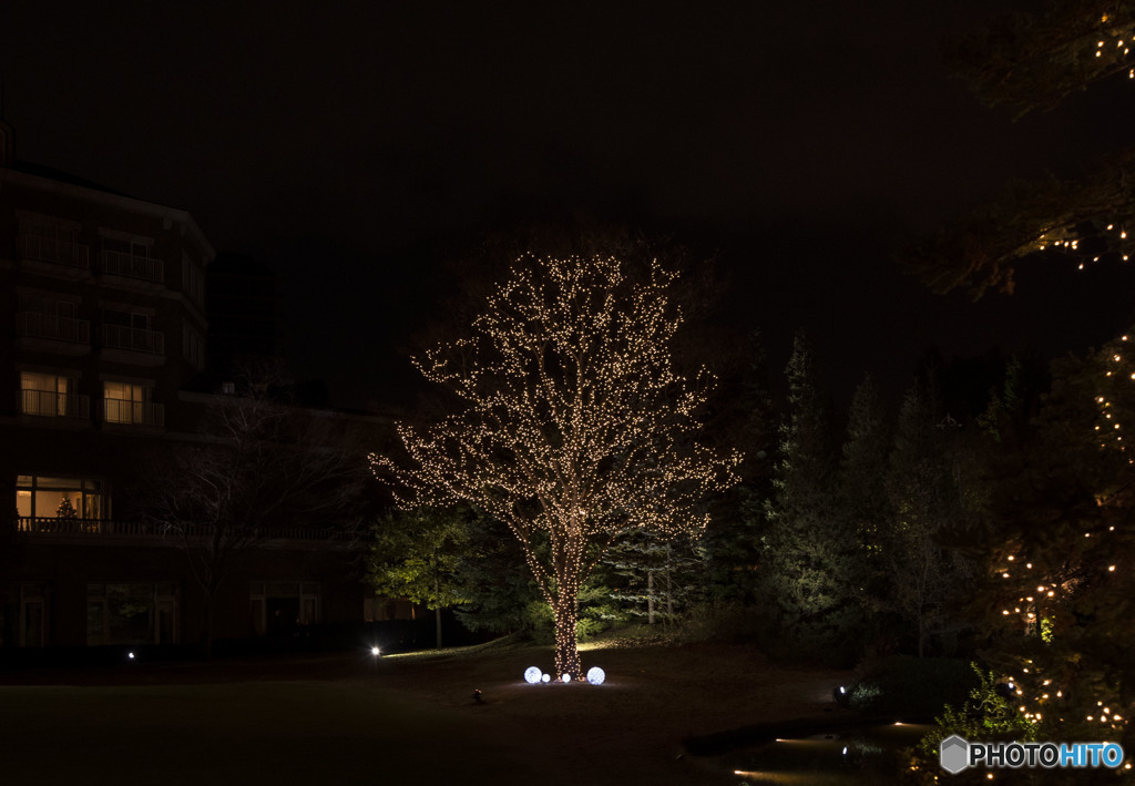 Baby Baby 涙 Blue Oh...