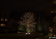 Baby Baby 涙 Blue Oh...