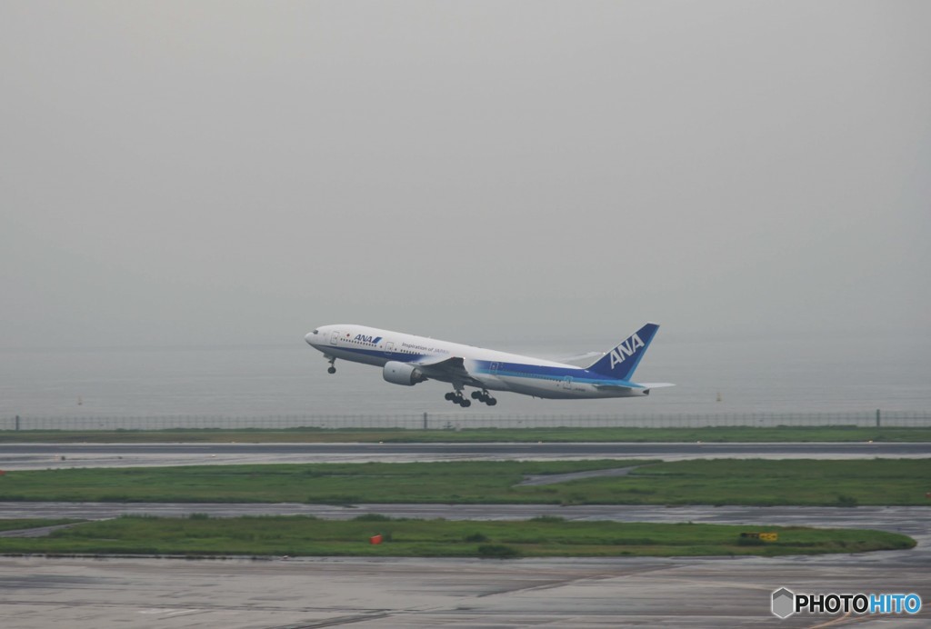 空を飛ぶ事が不思議なのか