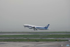 空を飛ぶ事が不思議なのか