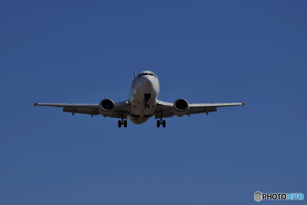 I got the wind full of wings