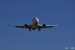 I got the wind full of wings