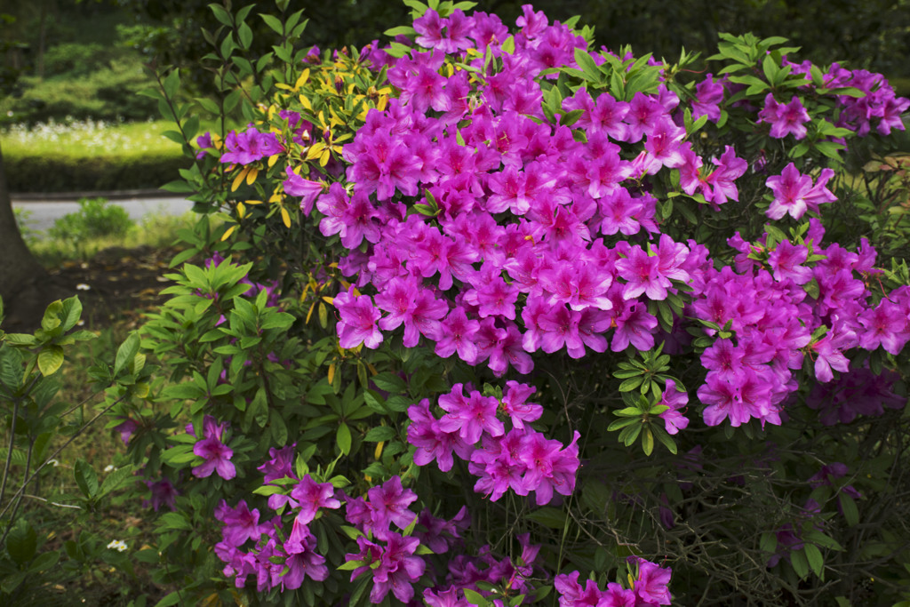 派手に感じています。