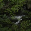 言葉がときれて