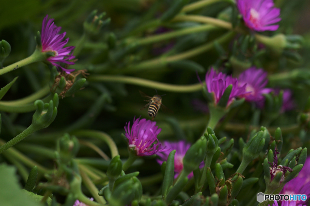 何かを見つける旅