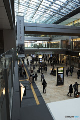 向こうから私を呼ぶ声が聞こえる