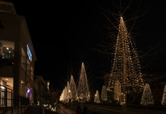 綺麗と思える素直さ