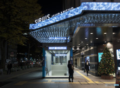 Blue night wet in tears