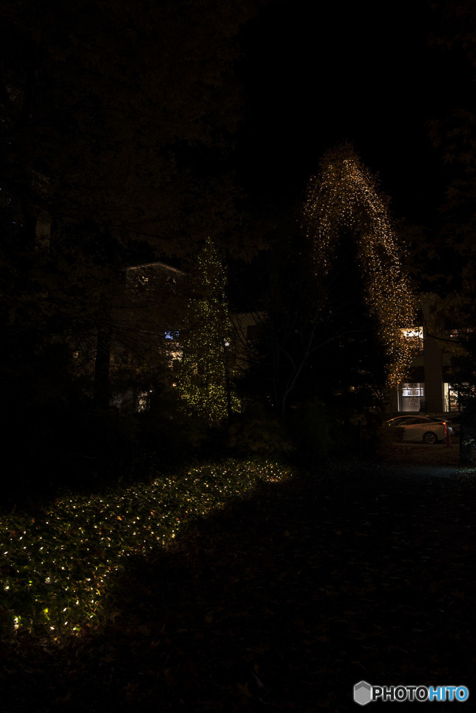 見上げる夜空は