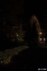 見上げる夜空は