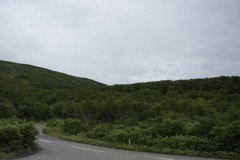 閉ざされたドアの中だけが