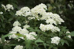 やっと逢うことが出来た。