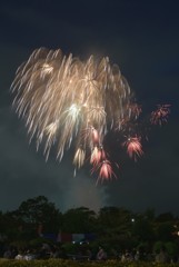 夜空に咲く滝桜