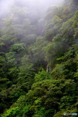 山間を眺める。