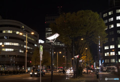 粋で優しい馬鹿で居よう。