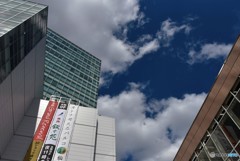 秋なのかな？