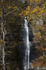 白糸の滝